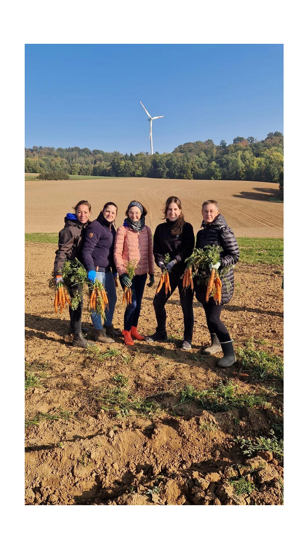 Marienhof 2025 9.jpg&nbsp;&copy;&nbsp;Ilsetalschule