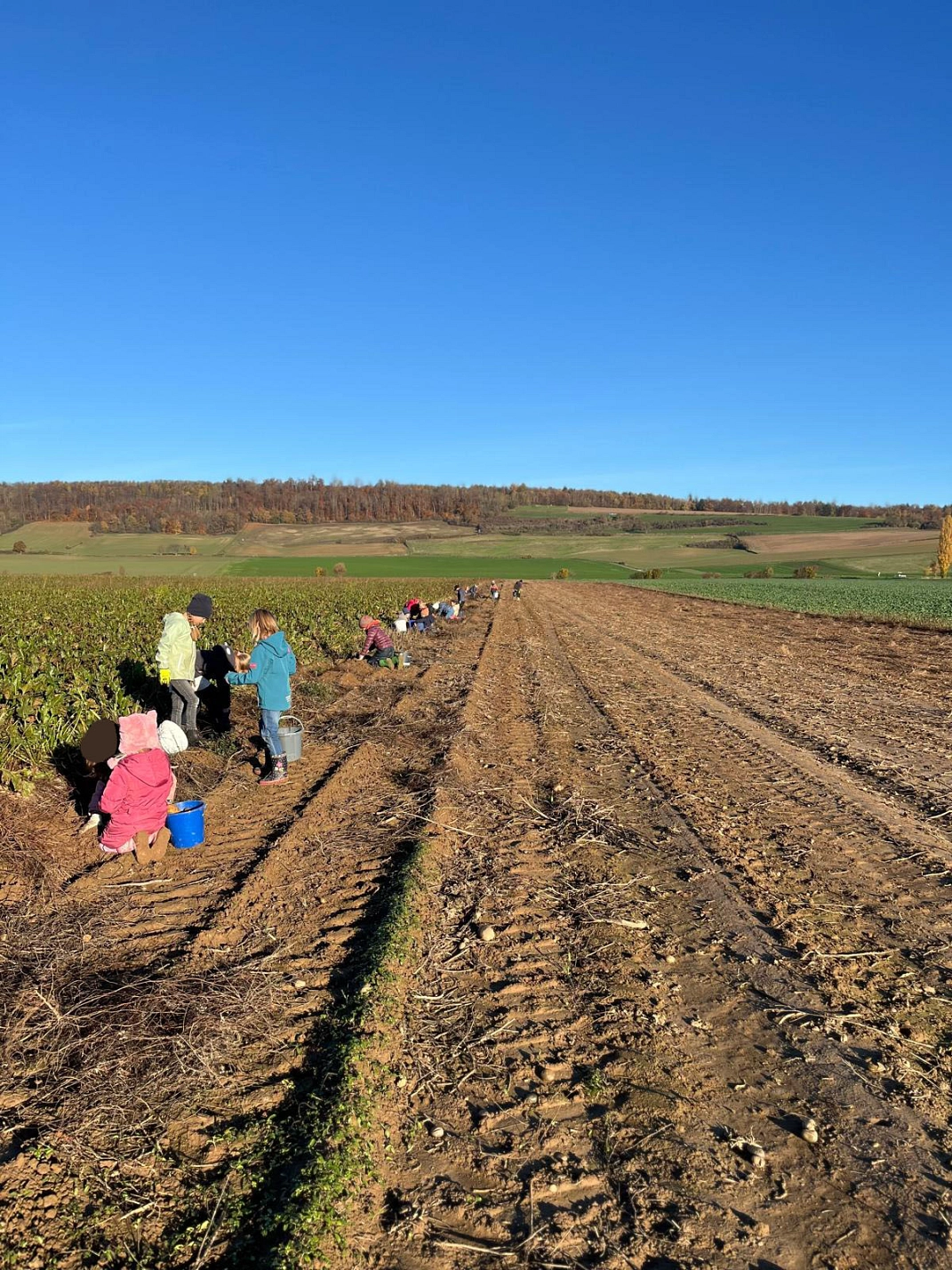 Roden 3.jpg&nbsp;&copy;&nbsp;Ilsetalschule