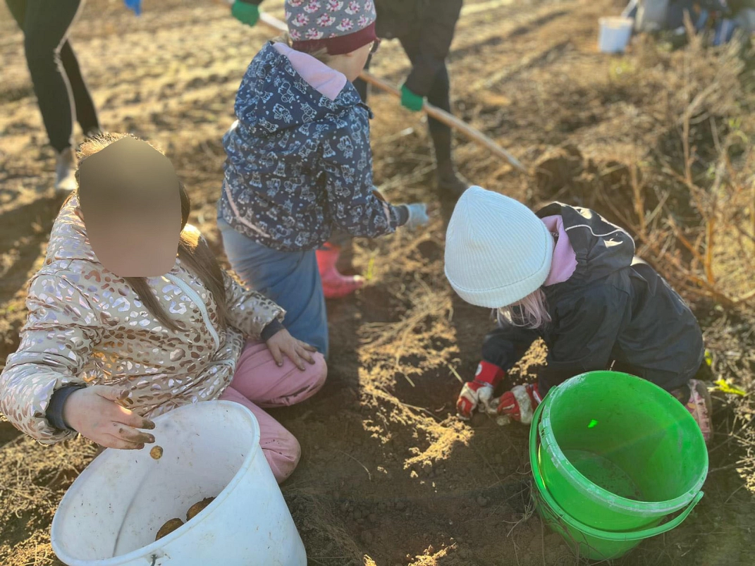 Roden 6.jpg&nbsp;&copy;&nbsp;Ilsetalschule