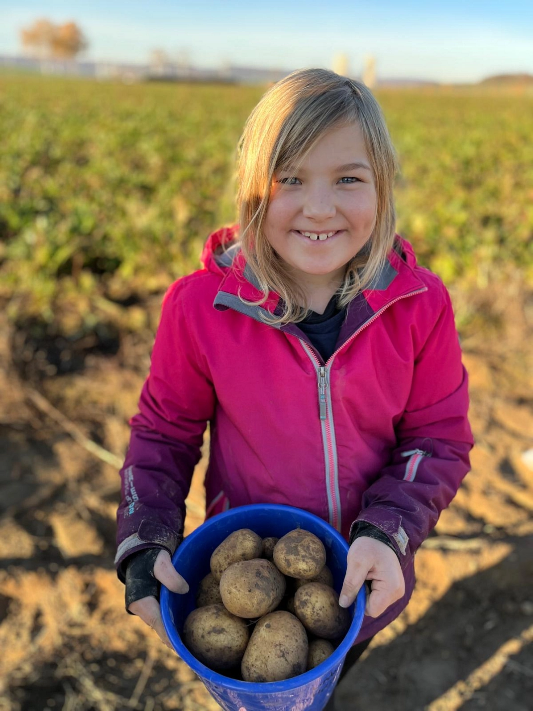 Roden 8.jpg&nbsp;&copy;&nbsp;Ilsetalschule