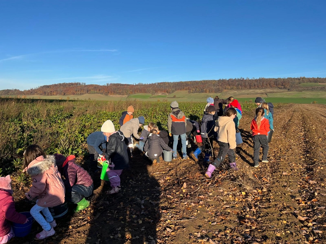 Roden 9.jpg&nbsp;&copy;&nbsp;Ilsetalschule