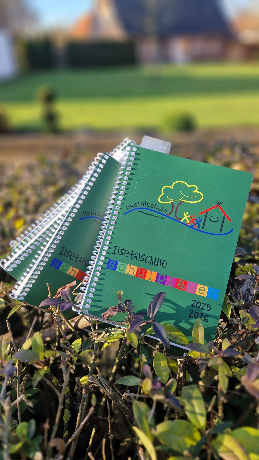 Schulplaner 25.jpg&nbsp;&copy;&nbsp;Ilsetalschule