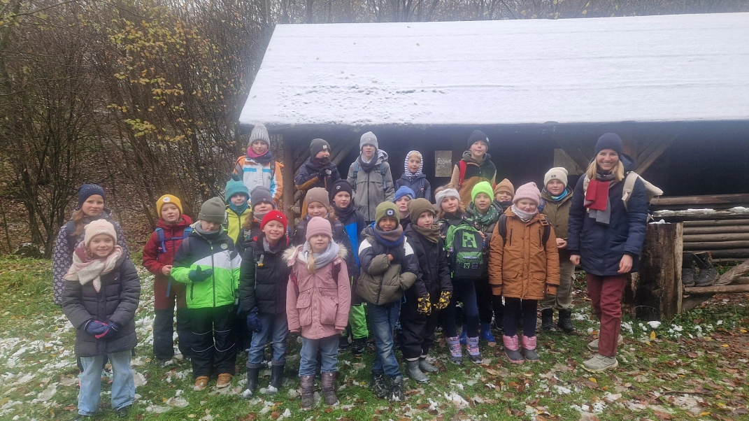 Wald 2.jpg&nbsp;&copy;&nbsp;Ilsetalschule