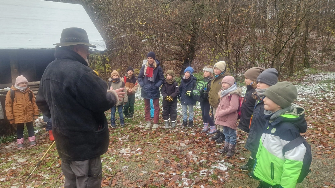 Wald 4.jpg&nbsp;&copy;&nbsp;Ilsetalschule