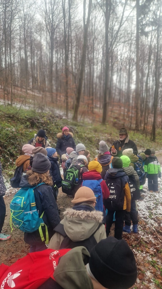 Wald 5.jpg&nbsp;&copy;&nbsp;Ilsetalschule