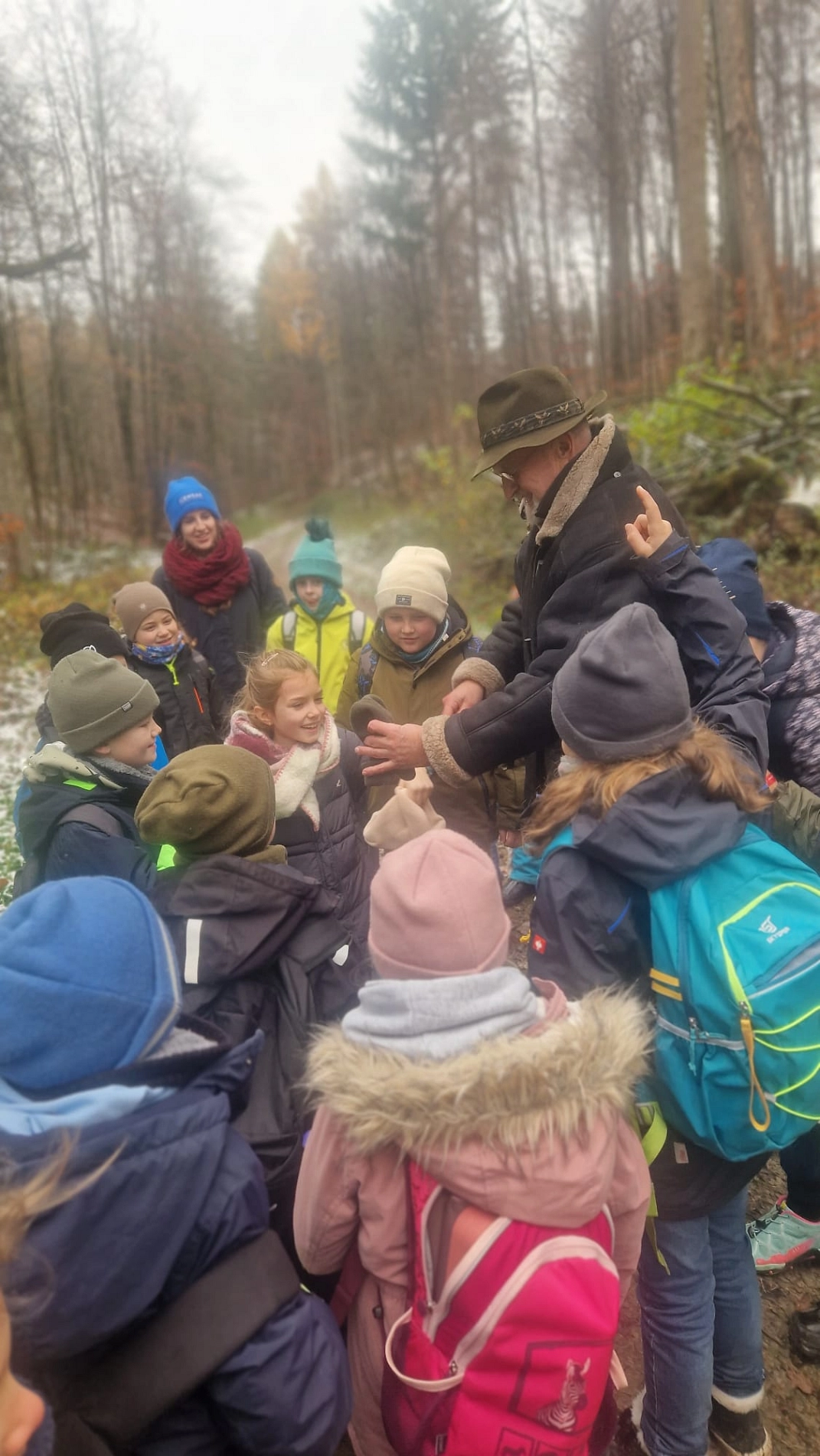 Wald 6.jpg&nbsp;&copy;&nbsp;Ilsetalschule