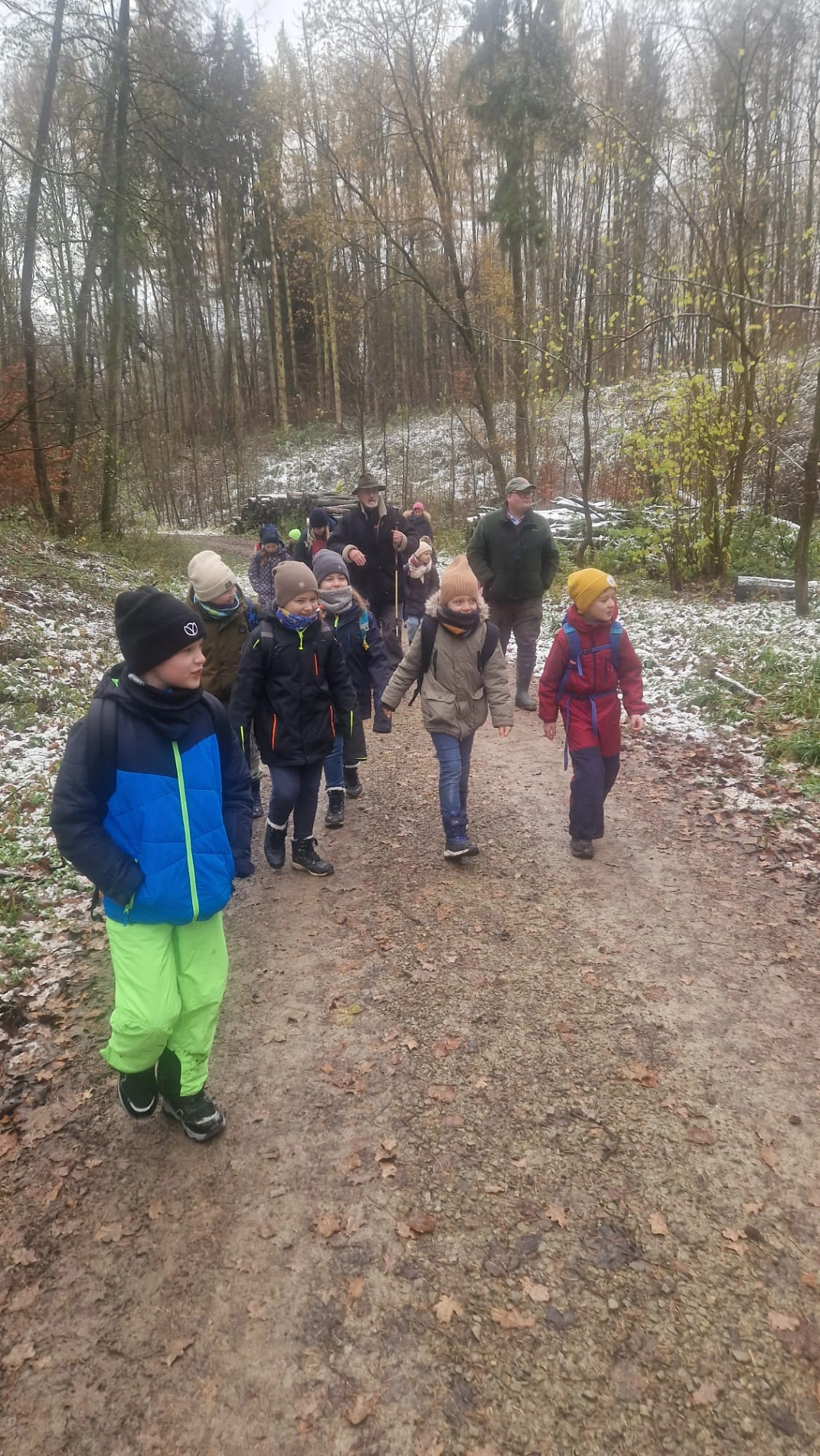 Wald 7.jpg&nbsp;&copy;&nbsp;Ilsetalschule