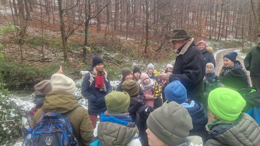 Wald 8.jpg&nbsp;&copy;&nbsp;Ilsetalschule