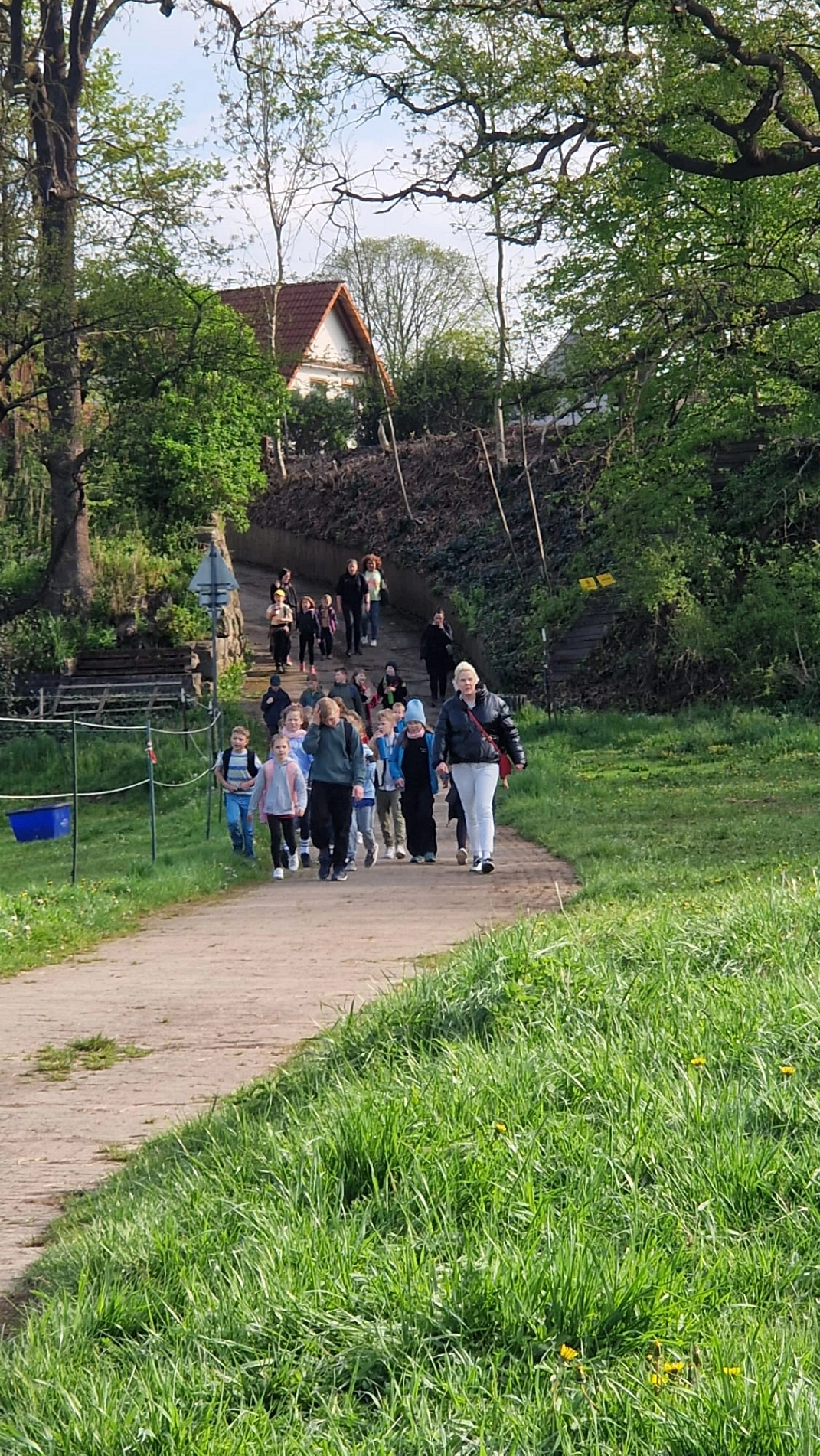 Wandertag 13.jpg&nbsp;&copy;&nbsp;Ilsetalschule