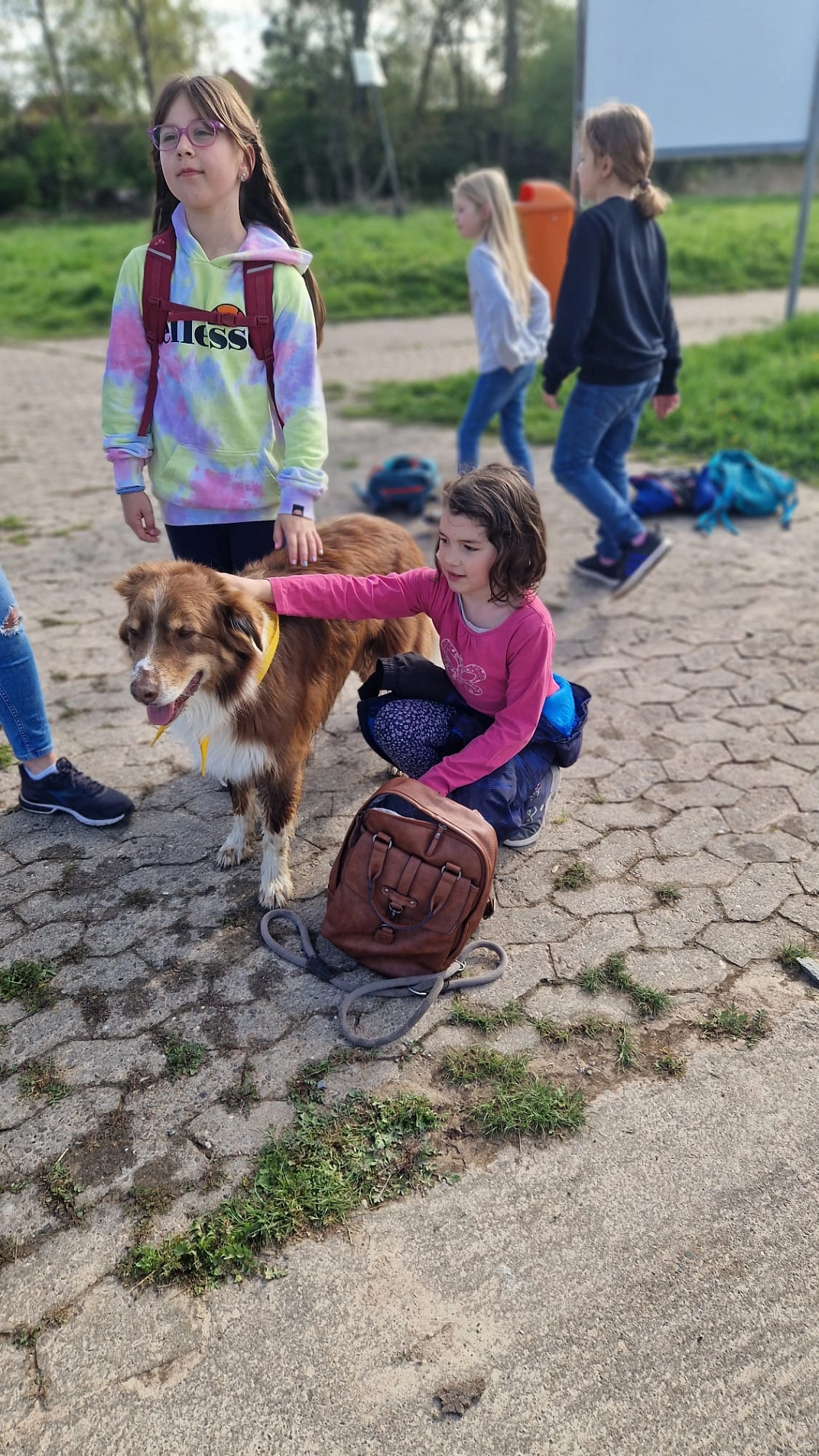 Wandertag 14.jpg&nbsp;&copy;&nbsp;Ilsetalschule