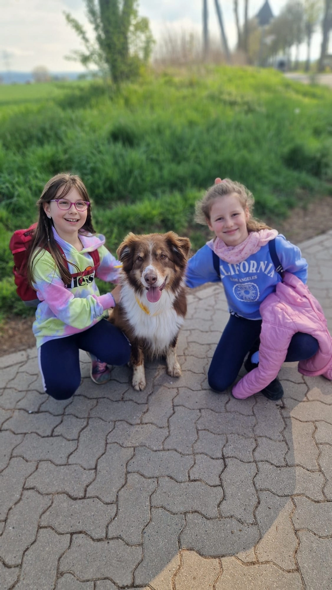 Wandertag 3.jpg&nbsp;&copy;&nbsp;Ilsetalschule