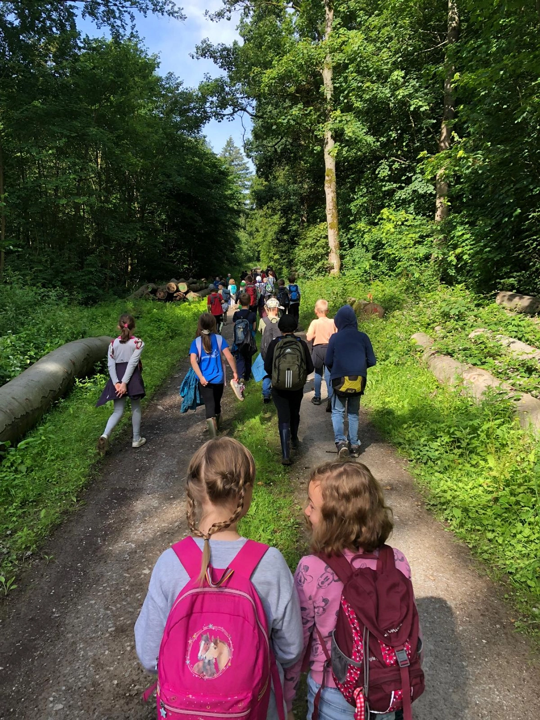 Wandertag 7.jpg&nbsp;&copy;&nbsp;Ilsetalschule