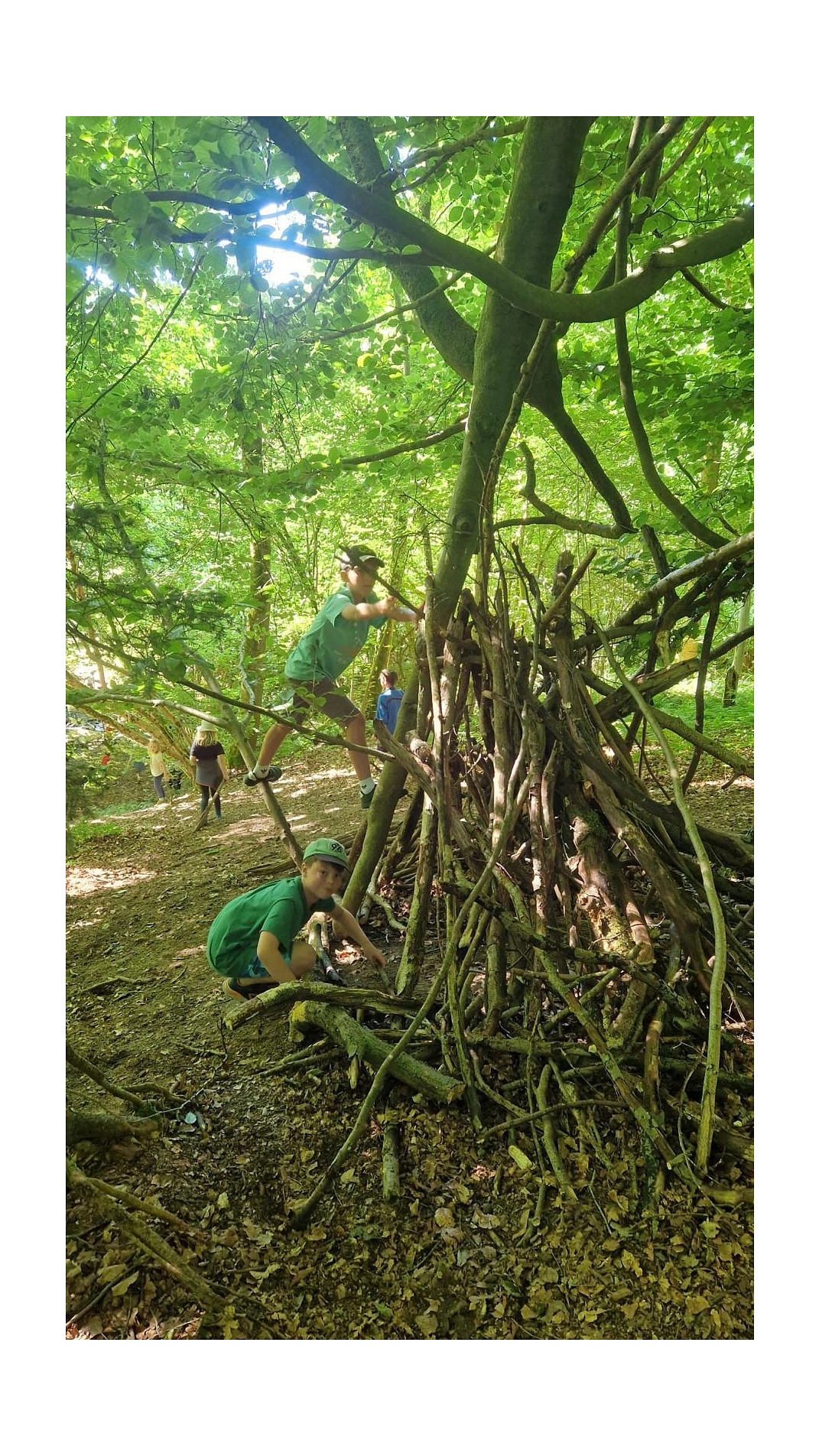 WT 11.jpg&nbsp;&copy;&nbsp;Ilsetalschule