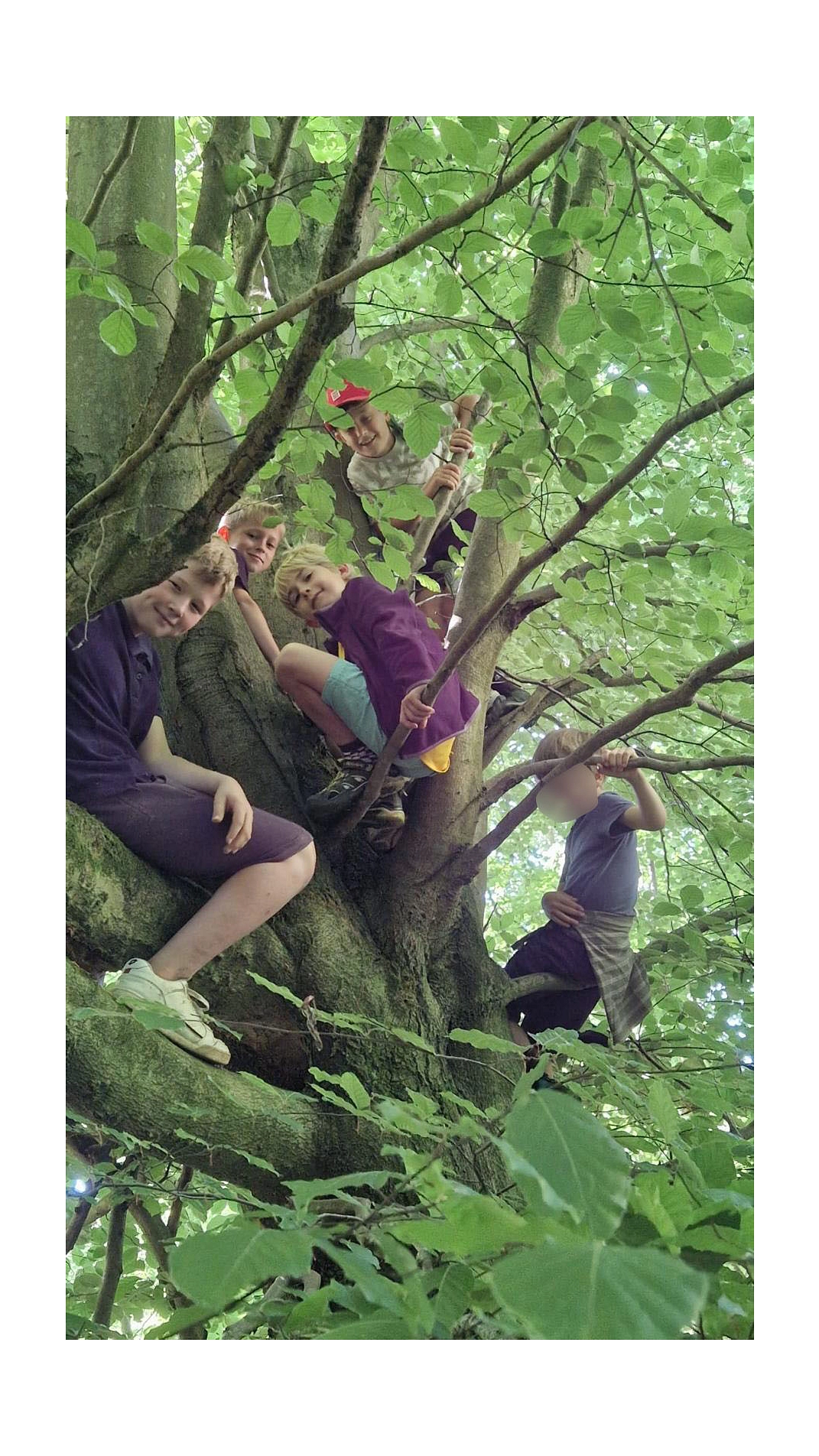 WT 13.jpg&nbsp;&copy;&nbsp;Ilsetalschule