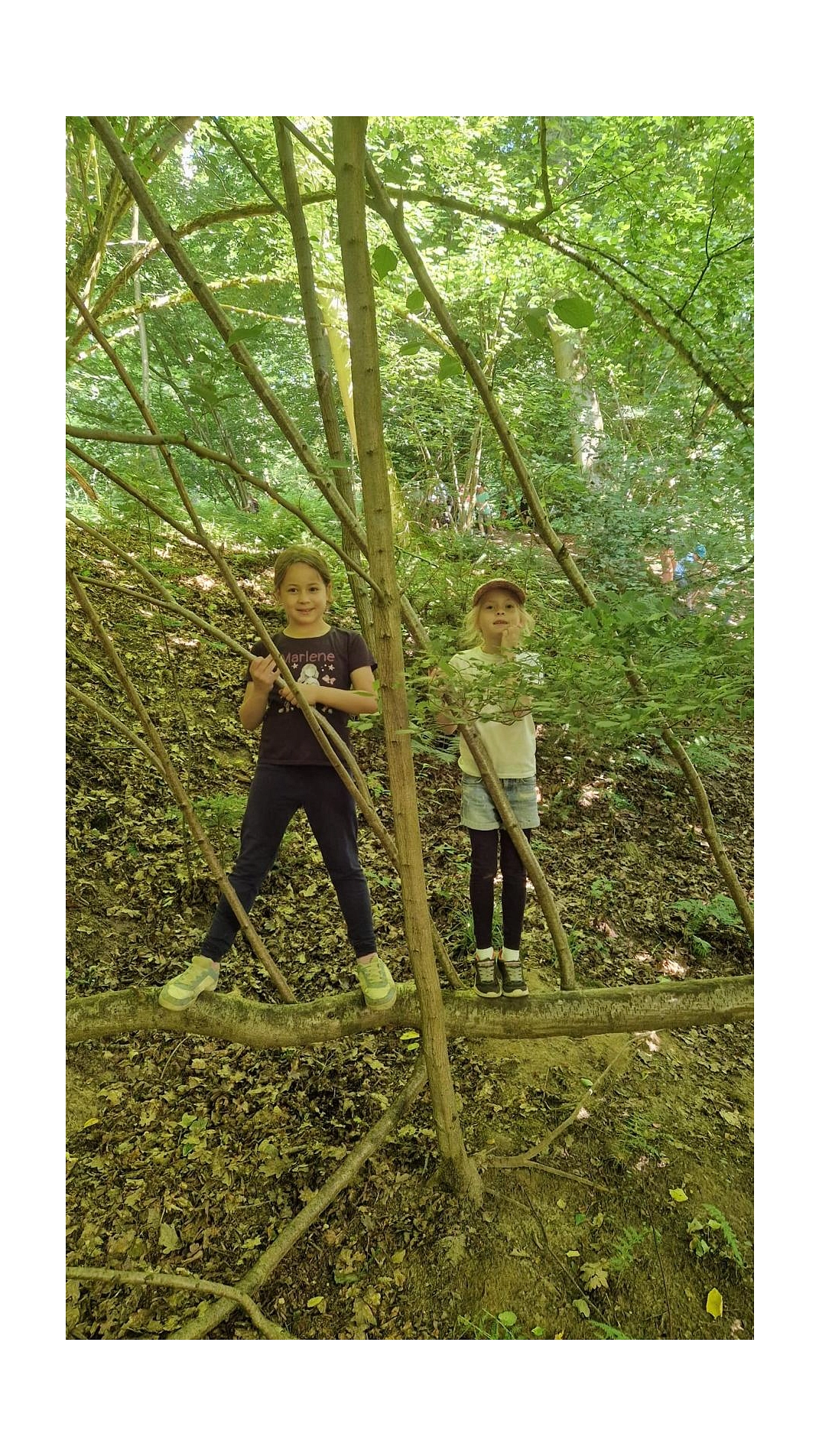 WT 15.jpg&nbsp;&copy;&nbsp;Ilsetalschule