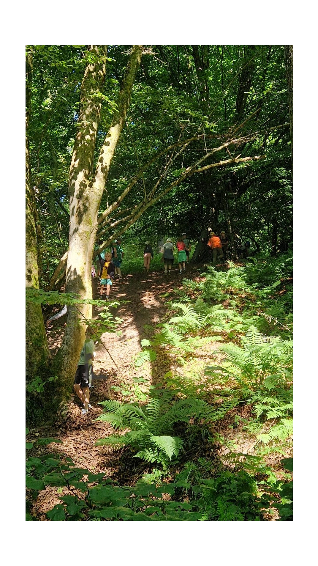 WT 17.jpg&nbsp;&copy;&nbsp;Ilsetalschule