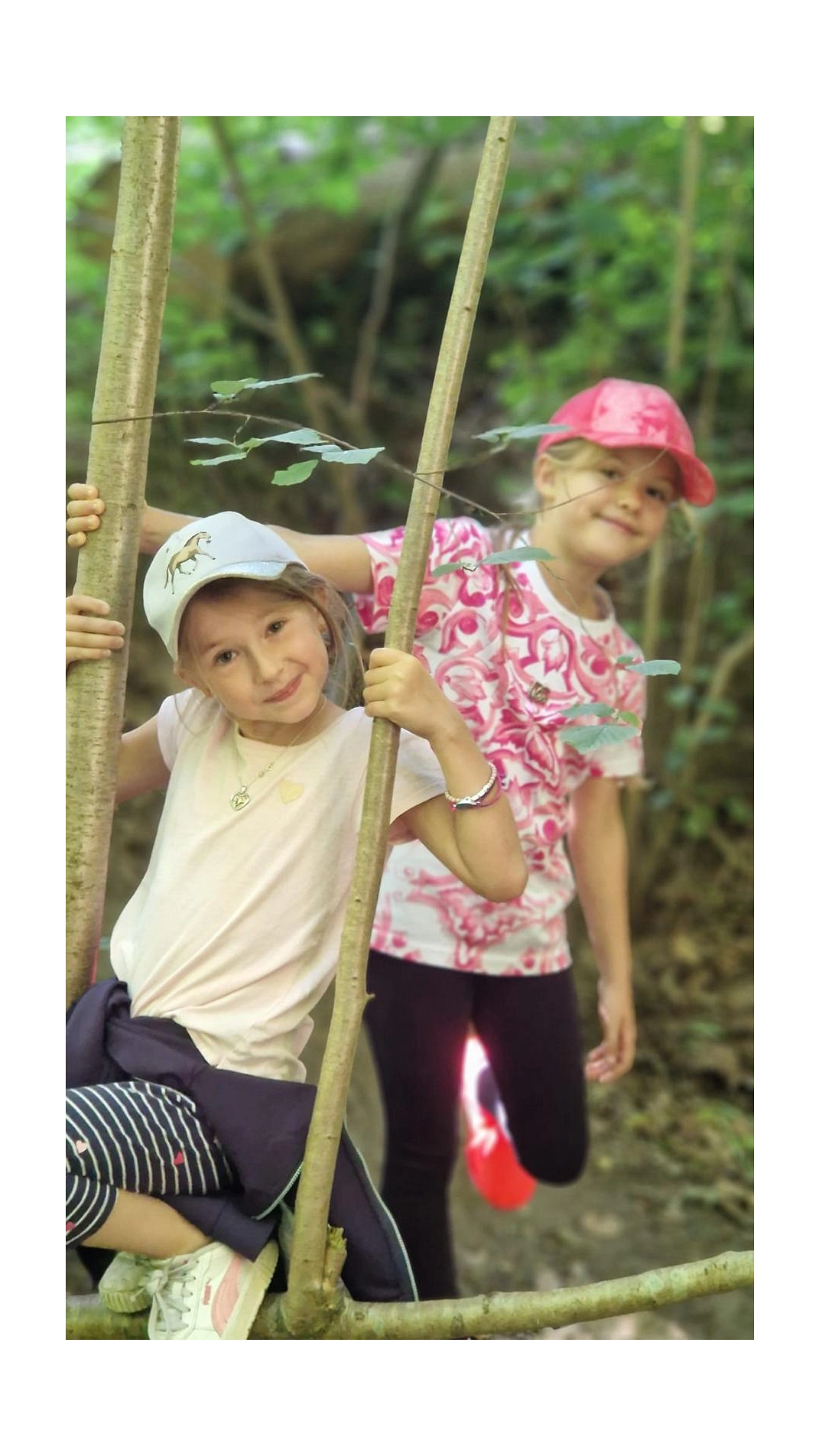 WT 18.jpg&nbsp;&copy;&nbsp;Ilsetalschule