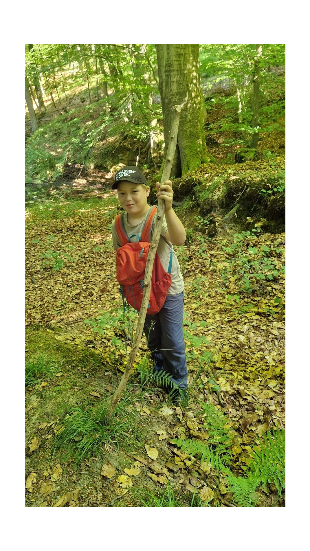 WT 22.jpg&nbsp;&copy;&nbsp;Ilsetalschule