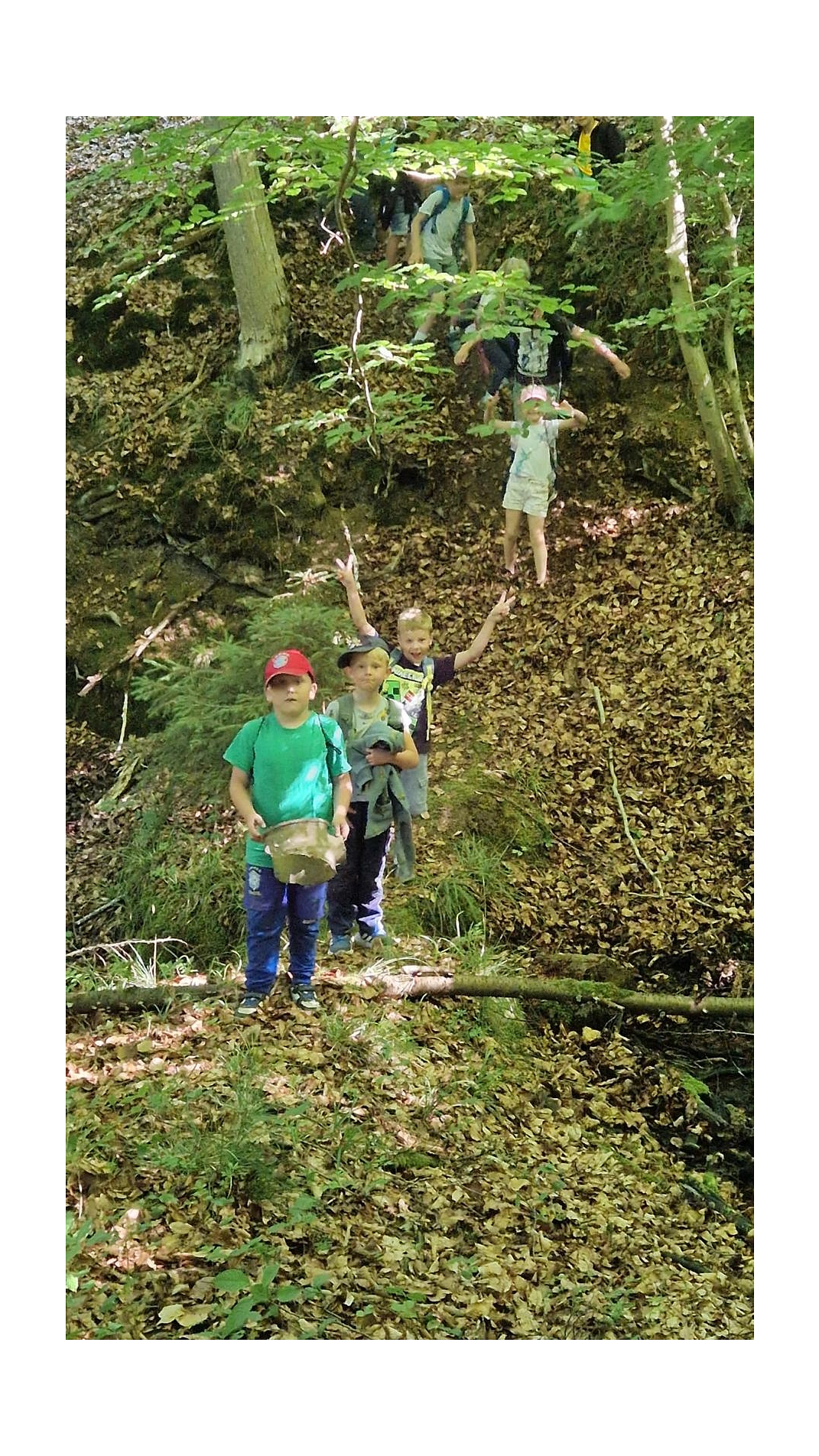 WT 23.jpg&nbsp;&copy;&nbsp;Ilsetalschule