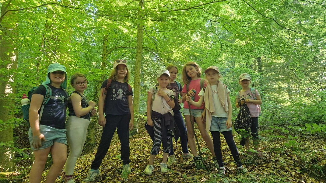 WT 24.jpg&nbsp;&copy;&nbsp;Ilsetalschule